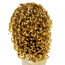 Beverly Johnson Half Wig HW-590