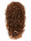 Beverly Johnson Half Wig HW-780