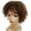 Beverly Johnson Half Wig HW570