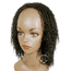 Beverly Johnson Half Wig HW595