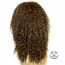 Beverly Johnson Half Wig HW595