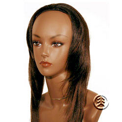 Beverly Johnson Half Wig HW620