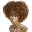 Beverly Johnson Half Wig HW665