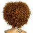 Beverly Johnson Half Wig HW665