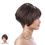Bohemian Wig Premium Synthetic Wig Coco
