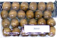 Children's Hair Bead 38103