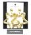 Clip On Earring 53299G