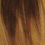 DXR4677