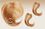 Eve HUMAN MAGIC VOLUME STRAIGHT-3PCS