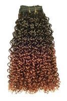 Eve Synthetic Sleek Curl