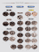 Foxy Silver Color Chart