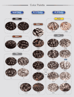 Foxy Silver Color Chart
