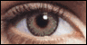 FreshLook Color Blends Green