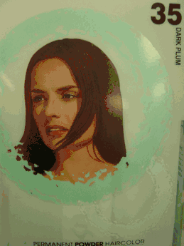 Fusion Powder Hair Color