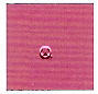 Kiss Nail Art Paint Beach Pink