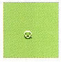 Kiss Nail Art Paint Bikini Green