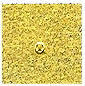 Kiss Nail Art Paint Gold Glitter