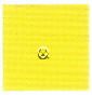 Kiss Nail Art Paint Yellow