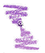 KleanColor Double Addition & Sharpener 09 Lilac