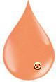 KleanColor Nail Polish Nail Laquer #23 Mango