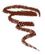 KleanColor Retractable Lip & Eyeliner Auto Pencil AP25 Mahogany