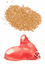 KleanColor Winks & Kisses EyeShadow & Lipgloss Combo (LG227-A) 9Hot Vixen