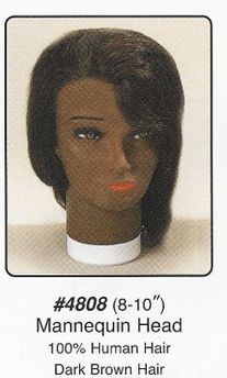 Mannequin Head/Holder Attached 8-10" 100% Human Hair