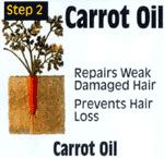 Maxi Carrot Oil 4oz