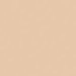 Milani Even-Tone Powder Foundation Shell