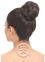Model Model Glance Cranberry Bun