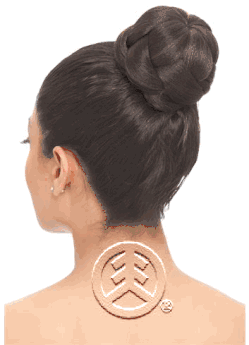 Model Model Glance Cranberry Bun