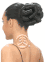 Model Model Glance Holiberry Bun