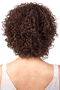 Motown Tress 100% Brazilian Virgin Remy Unprocessed Wig HBR-TORY
