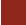 Nicka Nail Polish Vibrant Orange-49