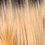OF627613
