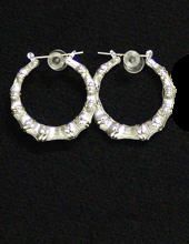 Pierced Earring 55523S