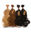 Sensationnel Goddess Remi Indian Hair Body Curl 12" 14" 18"