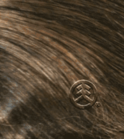 TS2733