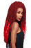 Vivica Fox Zulu Braid Collection Fula Distressed Loc 3x FulaLoc-340