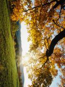 inside room