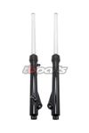 TB Parts KLX110 L & RL Fork Assembly Set, HD springs 2010-2025