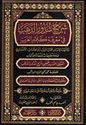 Sharh Shudhur al-Dhahab fi Ma'rifat Kalam al-Arab (Dar Fayha) شرح شذور الذهب في معرفة كلام العرب