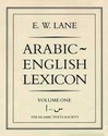 E. W. Lane: Arabic-English Lexicon (UK Edition, 8 vol in 2 books)