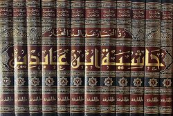 Hashiya Ibn Abidin: Rad al-Mukhtar Ala al-Durr al-Mukhtarحاشية ابن عابدين; رد المحتار على الدر المختار