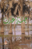 Jannat Eden  جنة عدن