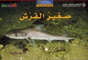 Level 3 - The Baby Shark
