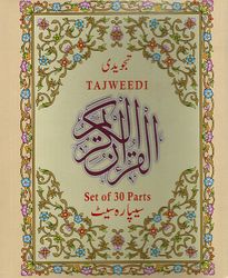 Qur'an al-Kareem Tajwwedi divided 17x24 cm 1/30 w/Box 