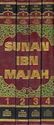 Sunan Ibn Majah (4 vol-DKI) Arabic-English