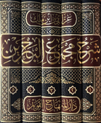 Sharh Majma' al-Bahrain (5 vol) شرح مجمع البحرين 