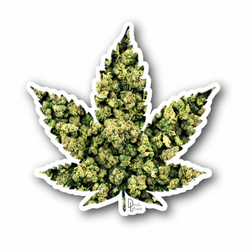 Rasta 420 Sticker – JDM Euro Marijuana Vinyl Decal For Car/Laptop (5x2.89 Inch)